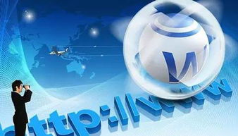 互聯(lián)網(wǎng)營銷的發(fā)展及應(yīng)用與軟硬件的開發(fā)銷售